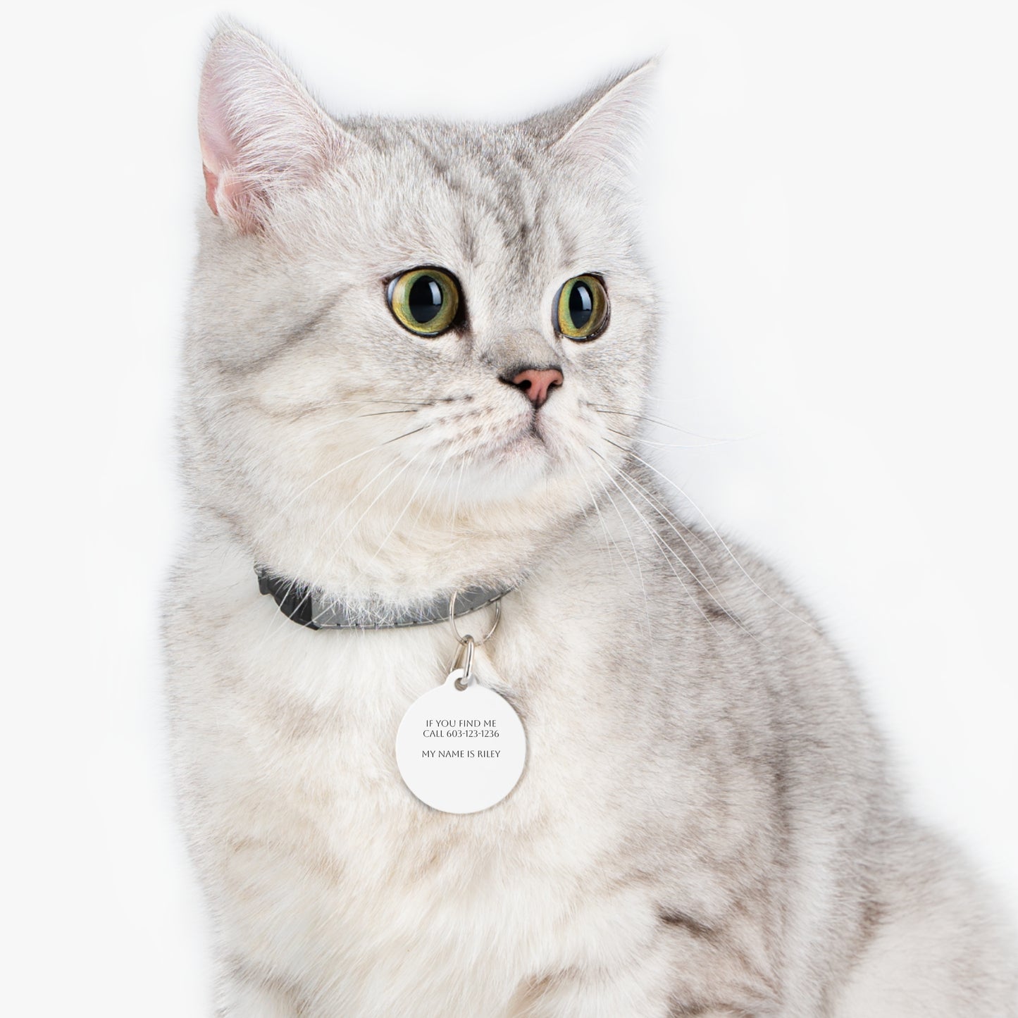 Custom Pet Tag - Personalized Dog ID Tag, Cat Name Tag, Pet Identification Tag, Unique Pet Accessory, Gift for Pet Lovers