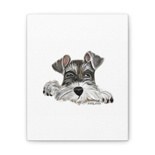 Schnauzer Dog on Canvas Stretched, 0.75" Hand drawn 8 x 10 - Debital Design