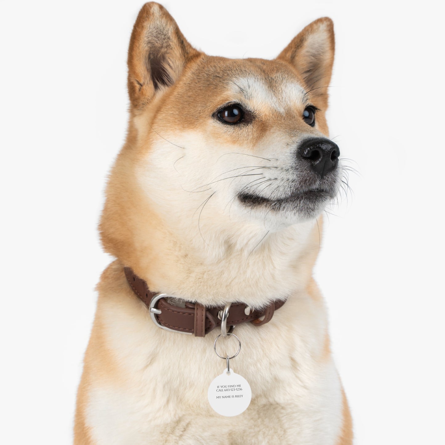 Custom Pet Tag - Personalized Dog ID Tag, Cat Name Tag, Pet Identification Tag, Unique Pet Accessory, Gift for Pet Lovers