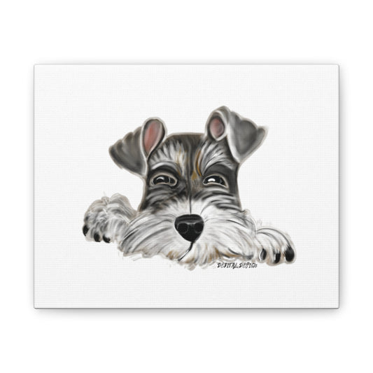 Schnauzer Dog on Canvas Stretched, 0.75" Hand drawn   8 x 10