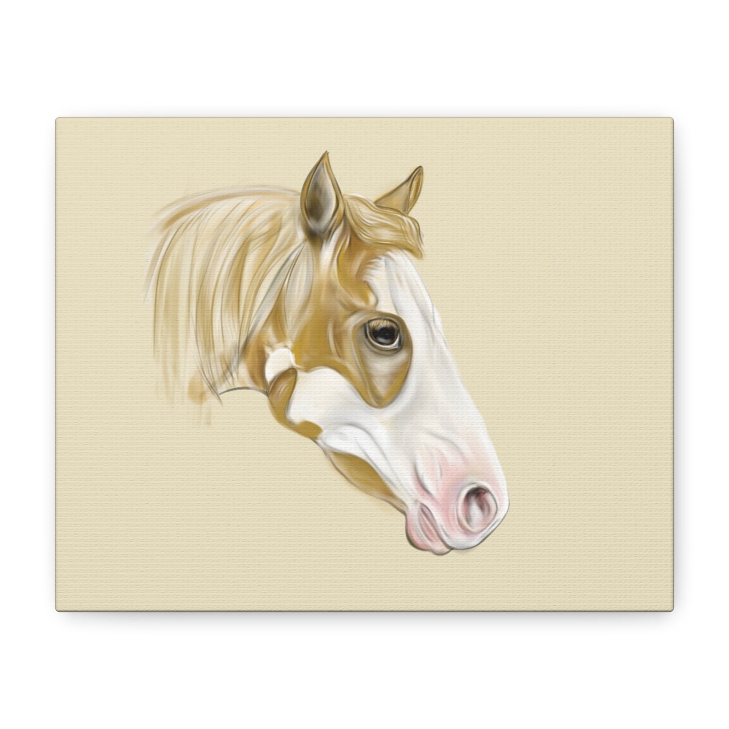 Paint Horse Canvas  — Stretched Matte Wall Art