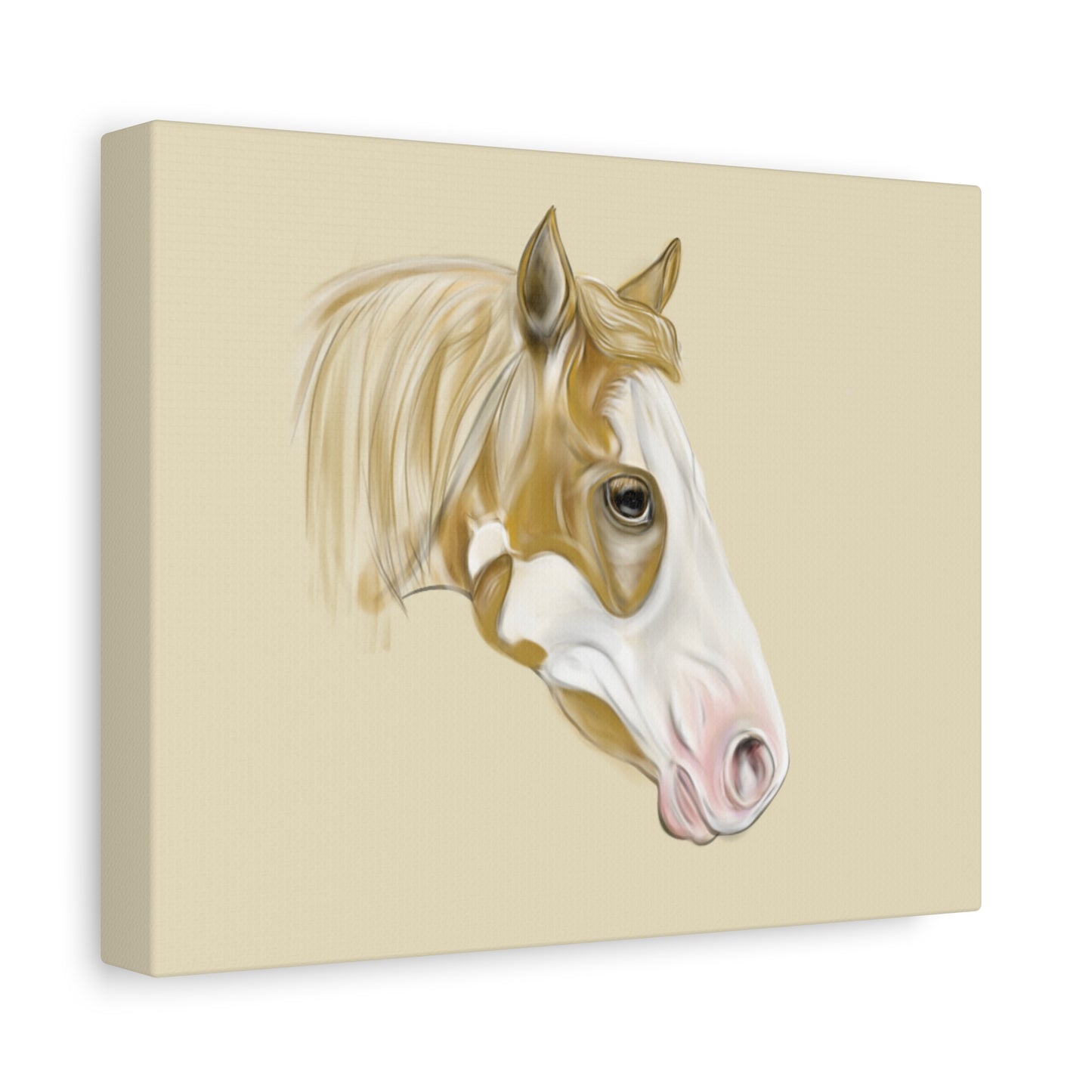 Paint Horse Canvas  — Stretched Matte Wall Art