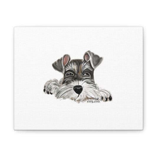 8 x 10  Schnauzer Canvas Gallery Wraps