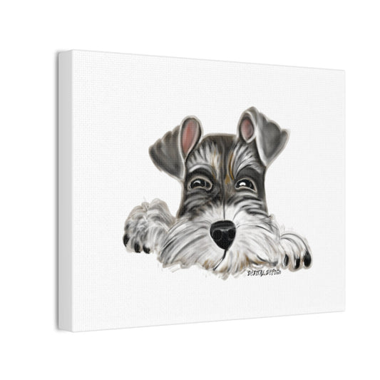Schnauzer Dog on Canvas Stretched, 0.75" Hand drawn   8 x 10