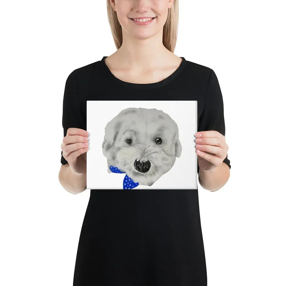 Bichon Satin Canvas, Stretched - Debital Design