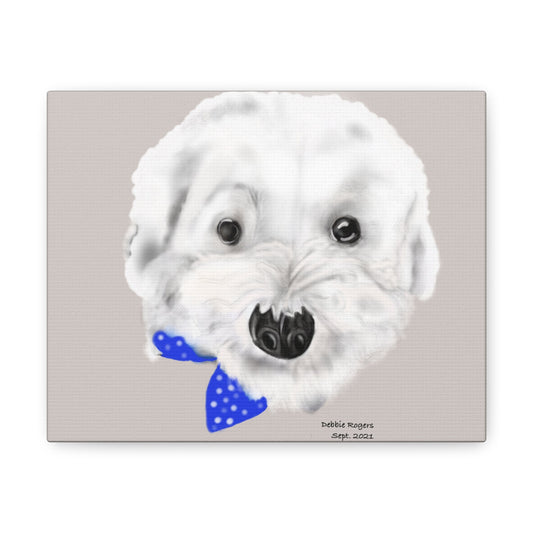 Charming Bichon Frise Canvas Art - Procreate Masterpiece