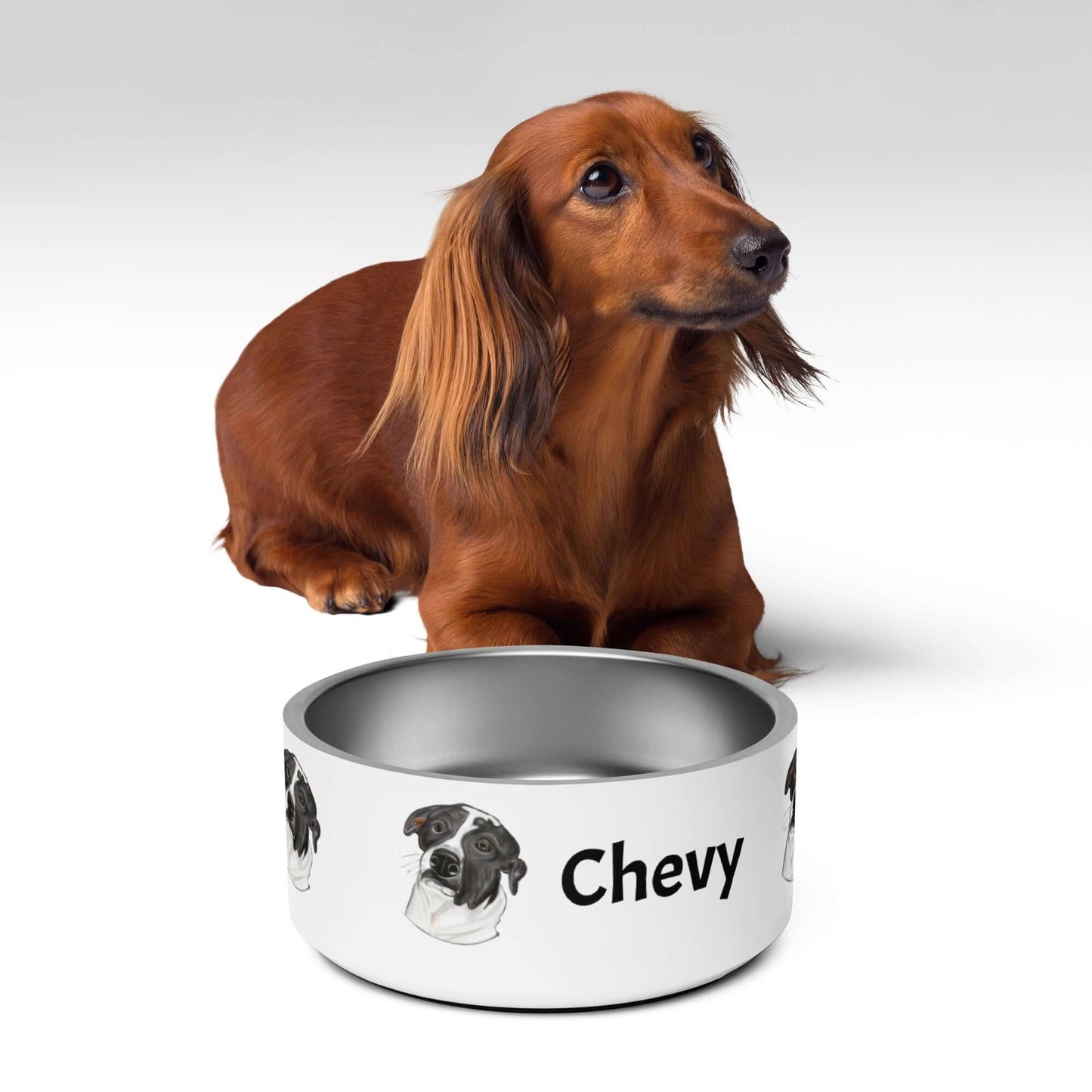 Customized Pet Bowl - Debital Design 